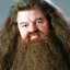 Rubeus Hagrid