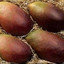 jeju_blackMANGO