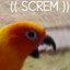 Hazen