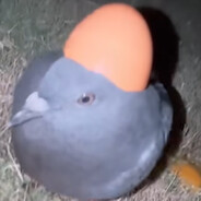 Kulliam