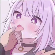 雪晴小男娘猫猫