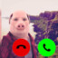 John Pork is calling