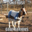 GoatManFu