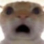 明
