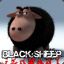 Black::Sheep