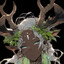 Your Local Druid