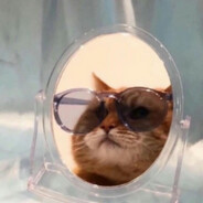 冰雹zi