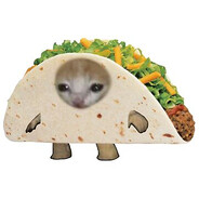 Taco_Bot_9001