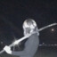 sail666