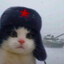 bonbao