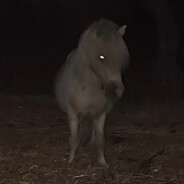 Bernazzz_ - steam id 76561199209984280