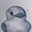 -Duck-