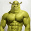 Steriods Shrek