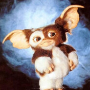 mogwai