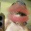 flood's avatar