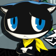 啥时候能有猫啊