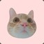 猫嘤嘤的左护法