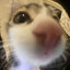 하민