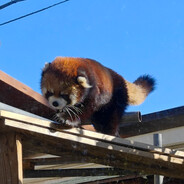 打到了吗 我不到啊