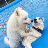 你真的能逗我笑呢