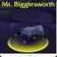 mr bigglesworth