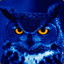 Midnight Owl