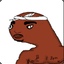 Tupoc