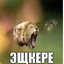 Ещкере