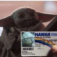 greenbawls11 - steam id 76561199104863928