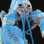 John Quincy Hadopelagic