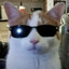 el_CuCuBoT