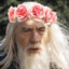 Gandalf The Fab