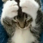 zzz