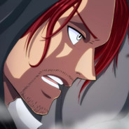 面子果实能力者