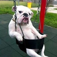 17岁少年为情所困