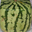 A watermelon