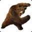 Kuma