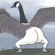 快向神明认栽666666