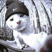 Мамкин узурпатор