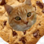 Cookie Cat