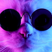 🐈ℂ𝕒𝕥 𝕄𝕖𝕠𝕨