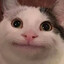 5401200