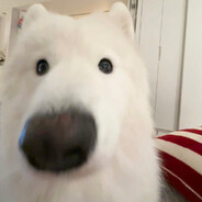 粉笔只在校园里