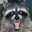[No VIP] Trash Panda