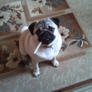 Red_Mops avatar
