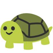 i love turtles
