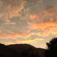 比奇堡第一悍匪派大星