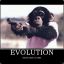 Mr Chimp