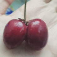 卡所有人逼缝的内裤