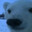 getNoob().setStatus(pwn3d.exe);